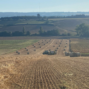 Hemp It Accompagnement Technique Option 2